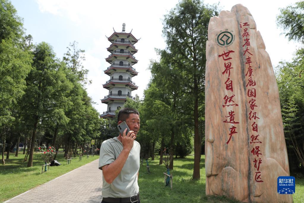 新加坡网上赌场